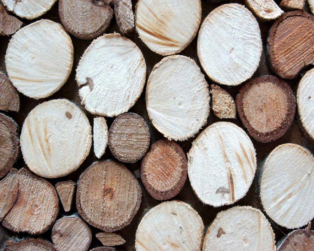 Pairfum Natural Sandalwood The Allure Of Natural Fragrance Oils Exploring Nature’s Essence In Perfumery