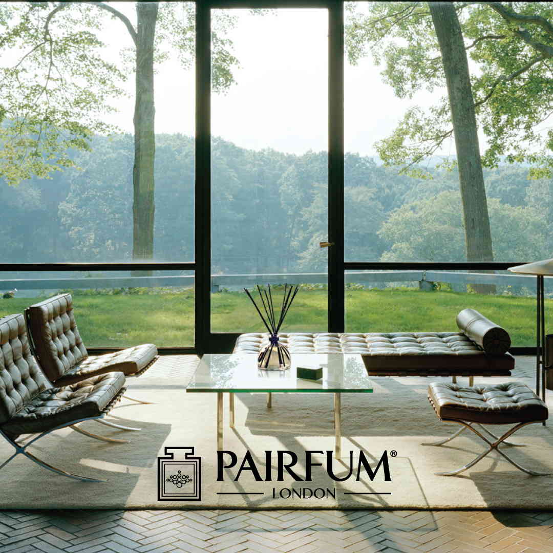 Pairfum Lifestyle Natural Perfume Livingroom Large Reed Diffuser Pairfum Lifestyle Natural Perfume Livingroom Large Reed Diffuser 1 1