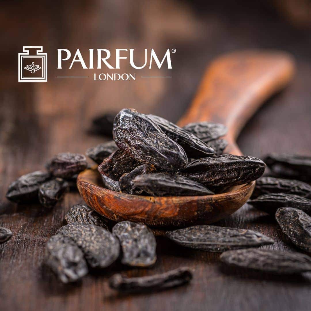 Fragrance Base Notes Tonka Bean