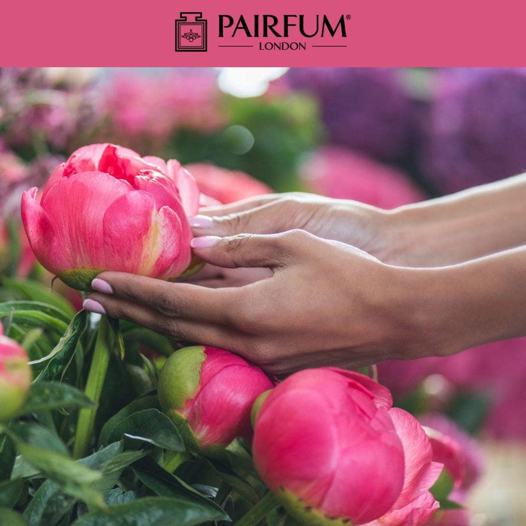 Peony Perfume Flower