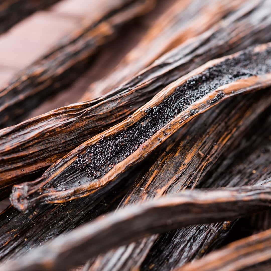 Vanilla Bean Pod Wood Liquid Oriental Perfume