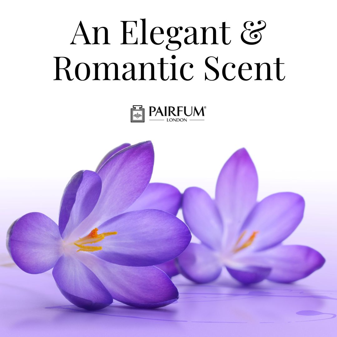Violet Perfume Flowers