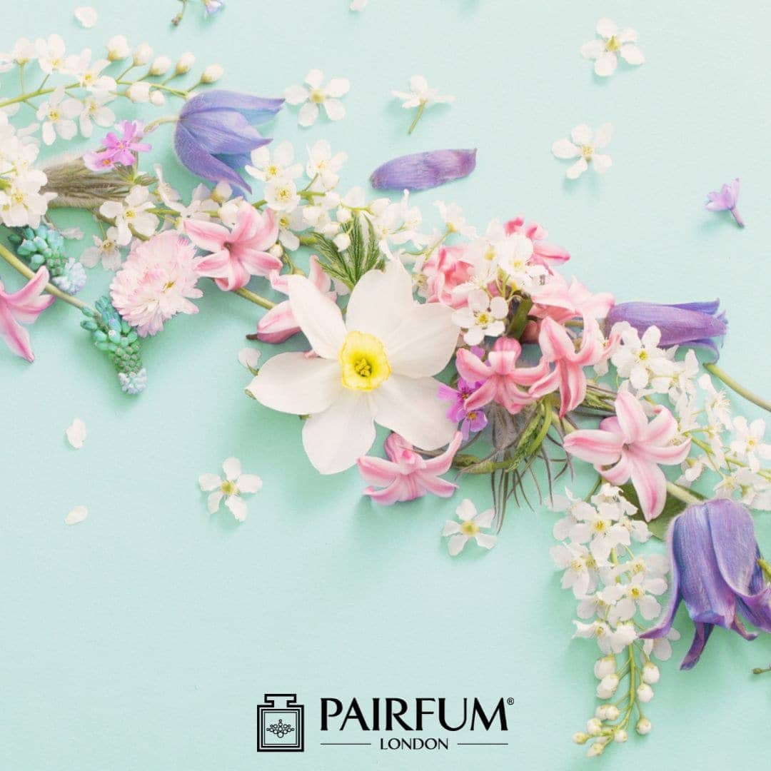 Flower Perfume Petals