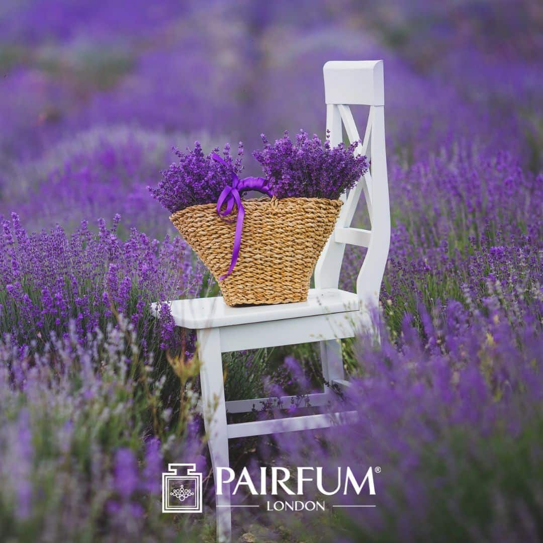 Lavender In A Basket