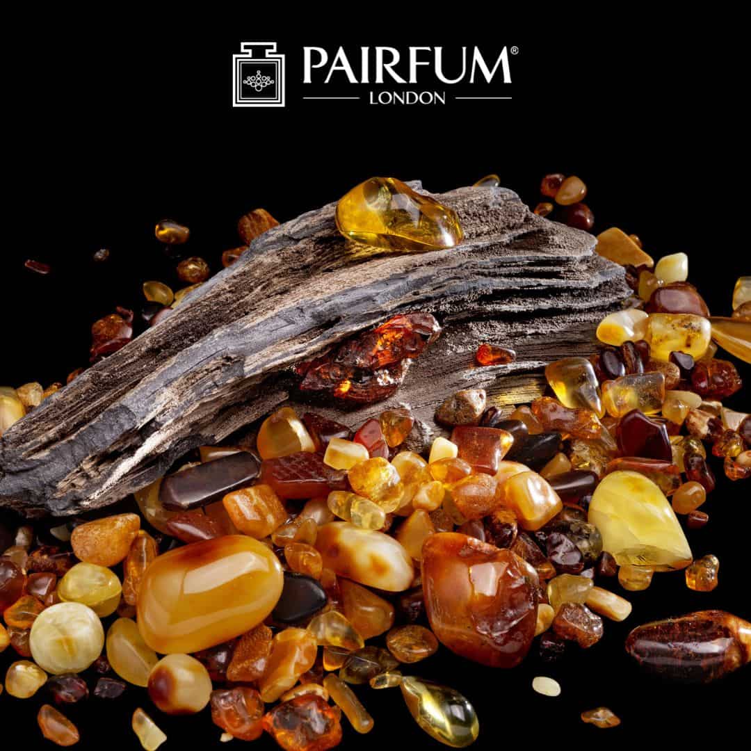 Origin Of Amber