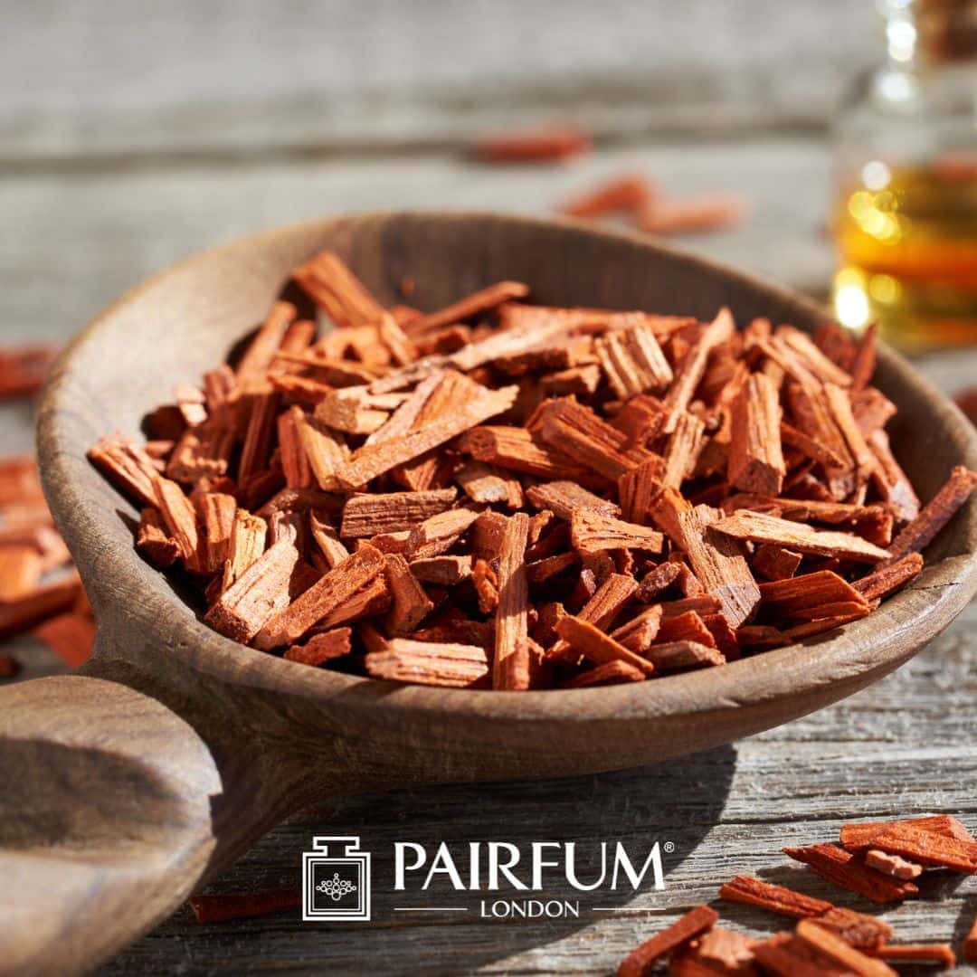 Origin Of Sandalwood