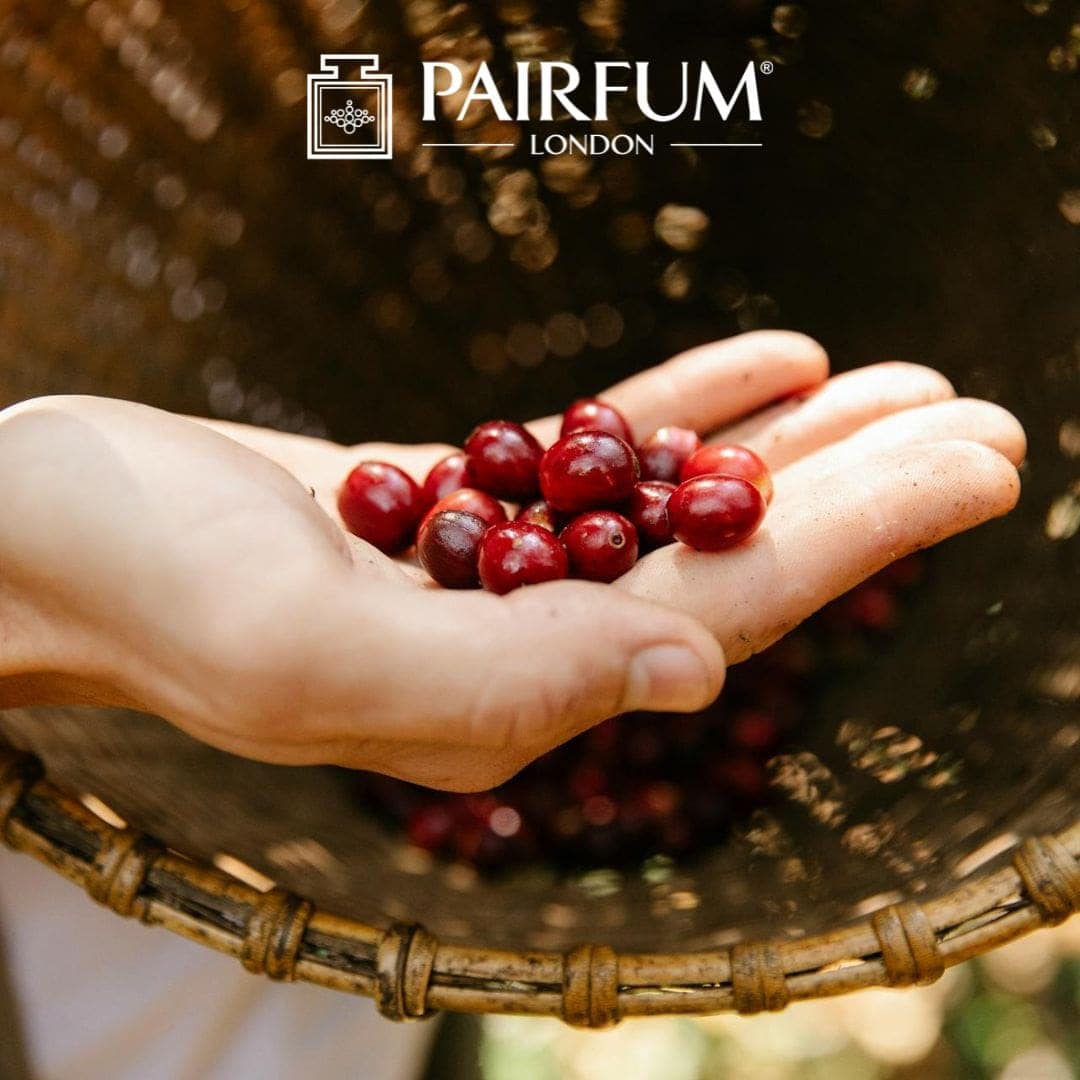 Fresh Red Berries