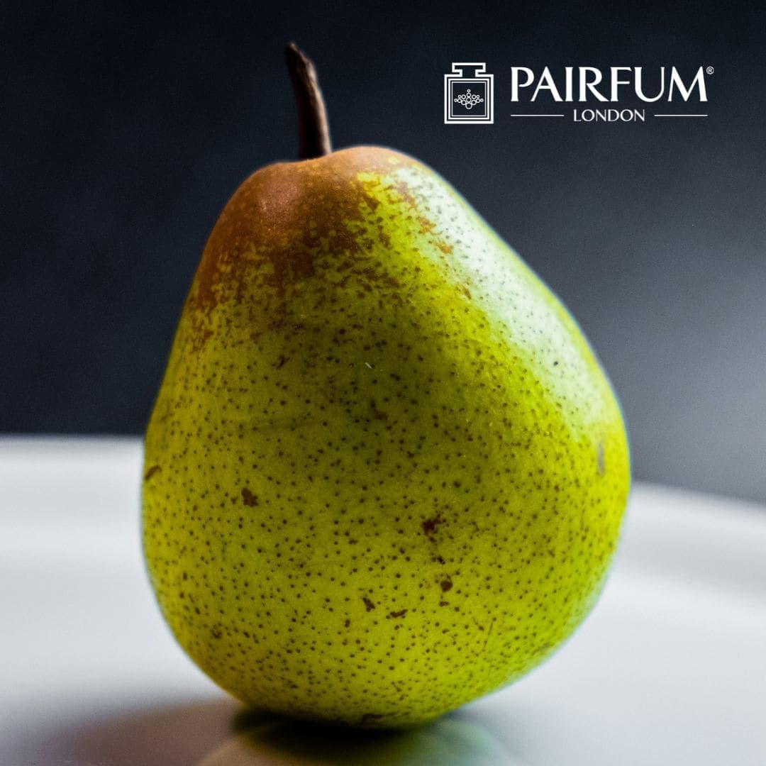 Anjou Pear