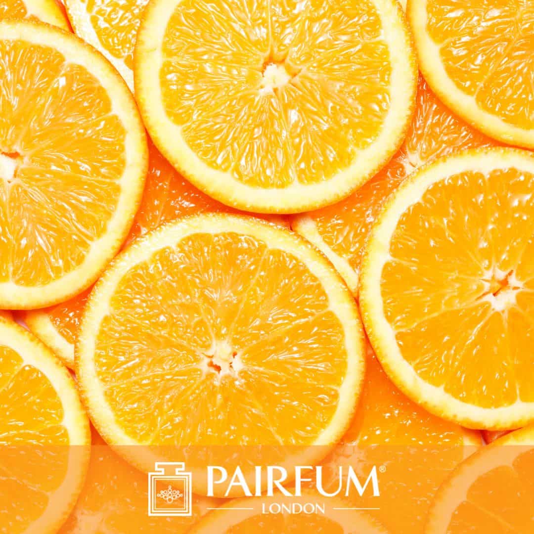 Orange Slices Orange Slices