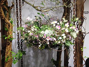 Fleurop Interflora World Cup Personality fleurop interflora world cup 2015 personality