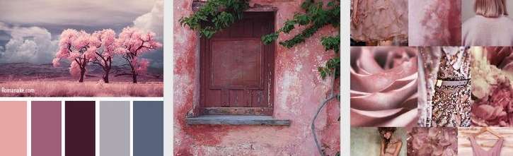 Colour Combos That Work Colour Combos that work