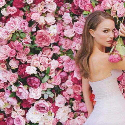 Pink Colour Trend In Perfumery And Home Fragrance