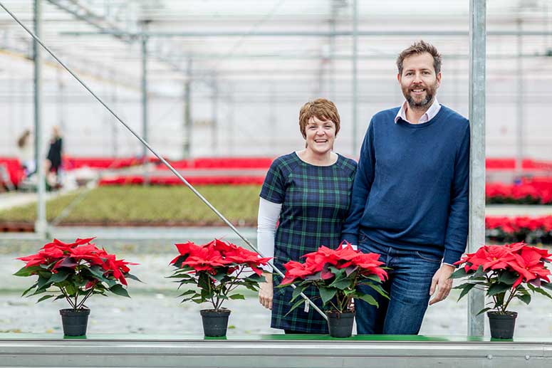 PAIRFUM Poinsettia Day Home Fragrance Flower Dress Greg Morag Hill