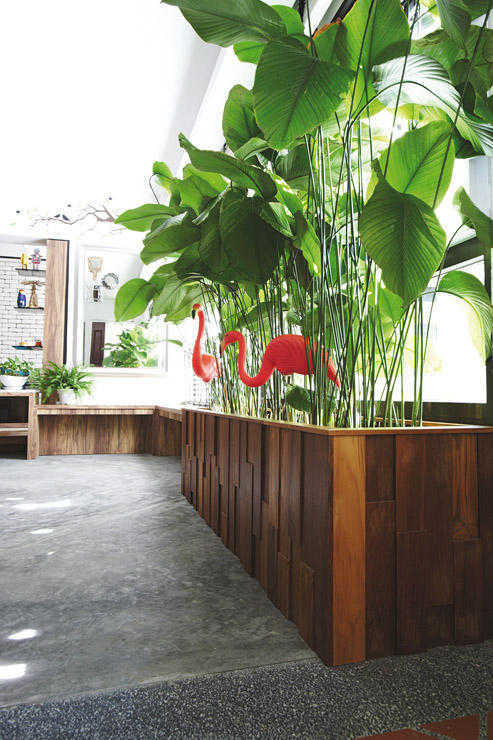fresh ideas for decorating with plants box