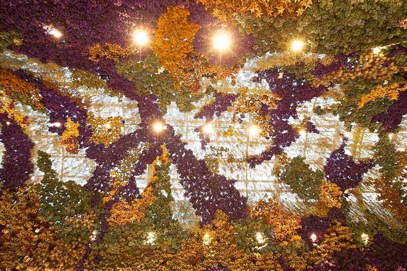 rebecca-louise-law-floral-canopy-light