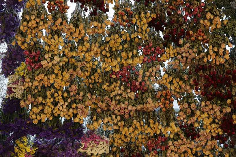 rebecca-louise-law-floral-canopy-preserved