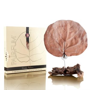 Pairfum Canopy Infusion Black Orchid White