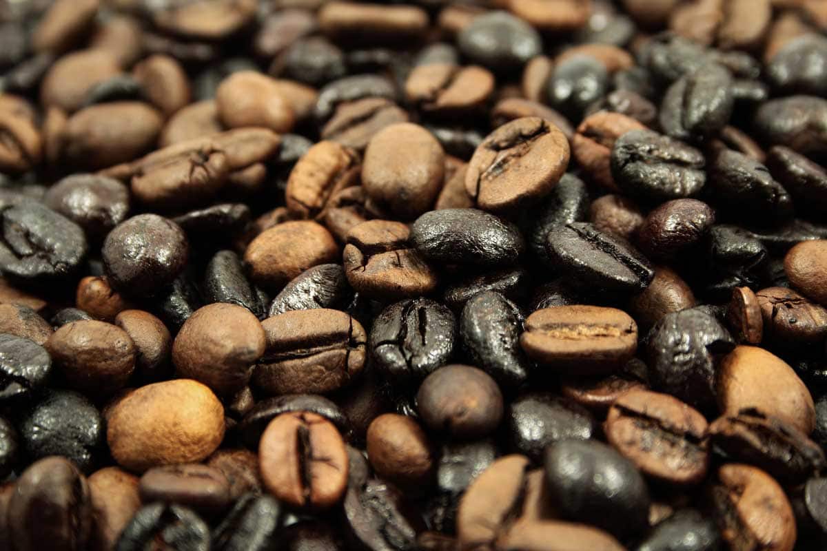 Coffee Beans Roasted Nose Smell Aroma Coffee Beans Roasted Nose Smell Aroma
