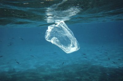 Plastic In Ocean 1