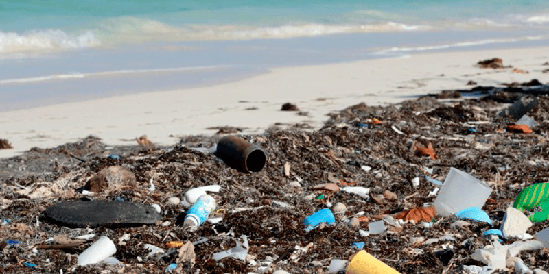 Plastic & Rubbish On The Beack 2