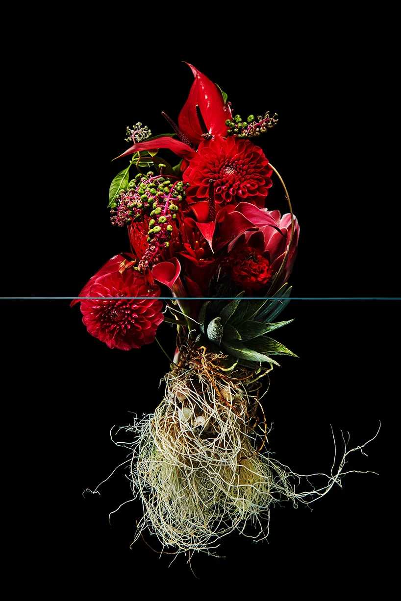 Pairfum London Azuma Makoto Undersurface Flower Root Fragrance 04