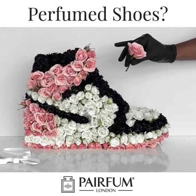 Perfumed Smelly Shoes Spray Flower Bloom Bouquet Fragrance Deodorise