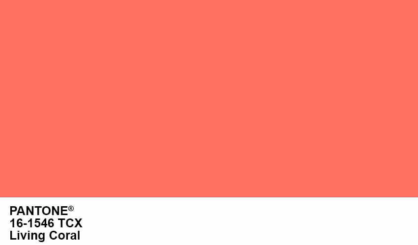 Pairfum Pantone Living Coral Colour Patch Year 2019