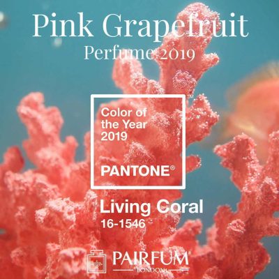 Pantone Color Year 2019 Living Coral Pink Grapefruit Perfume Pairfum