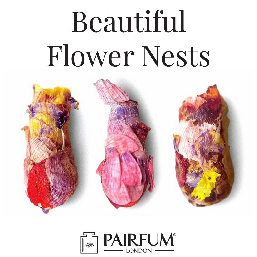 Beautiful Flower Nests Petal Special Bee Larvae Pairfum 19