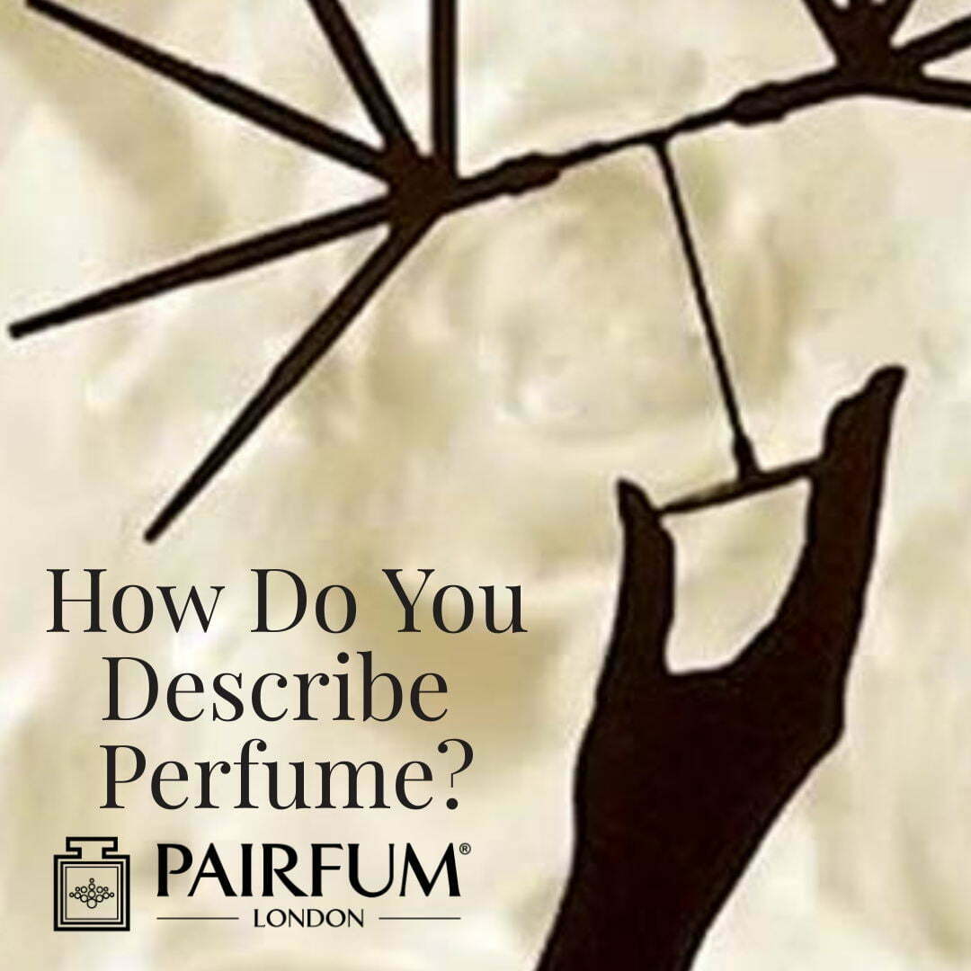 How Do You Describe Perfumery
