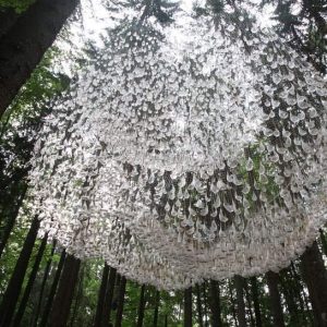 Pine Tree Forest Wood Rain Water Ozone Fragrance 02