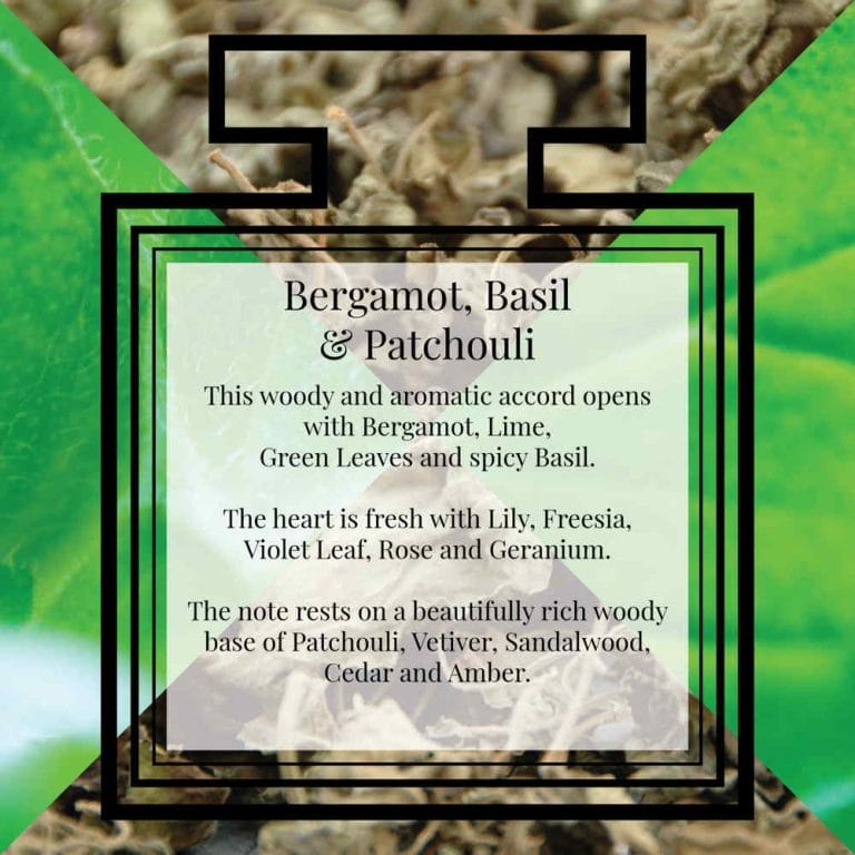 Pairfum Fragrance Bergamot Basil Patchouli Description Pairfum Fragrance Bergamot Basil Patchouli Description