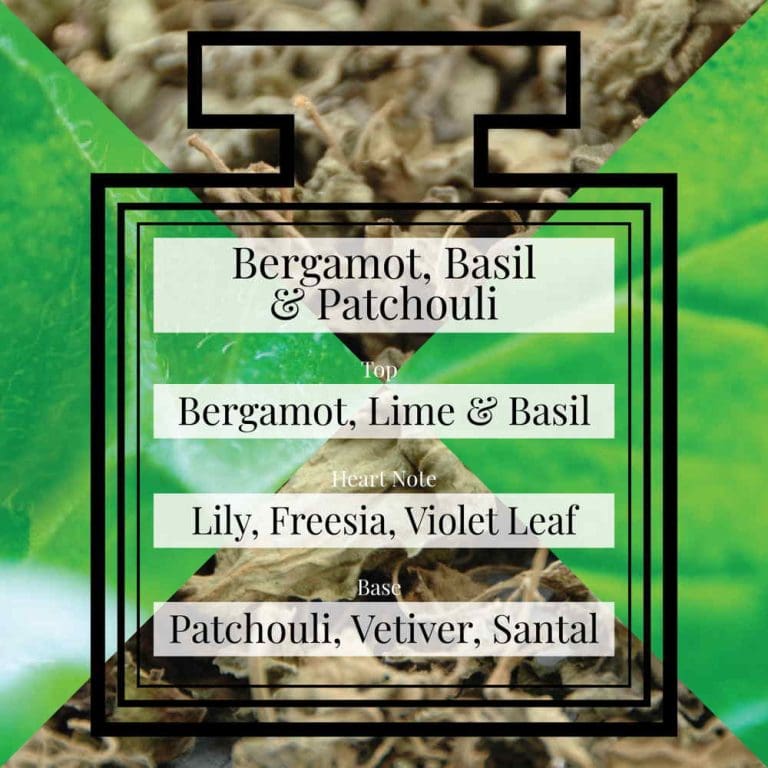 Pairfum Fragrance Bergamot Basil Patchouli Triangle Pairfum Fragrance Bergamot Basil Patchouli Triangle