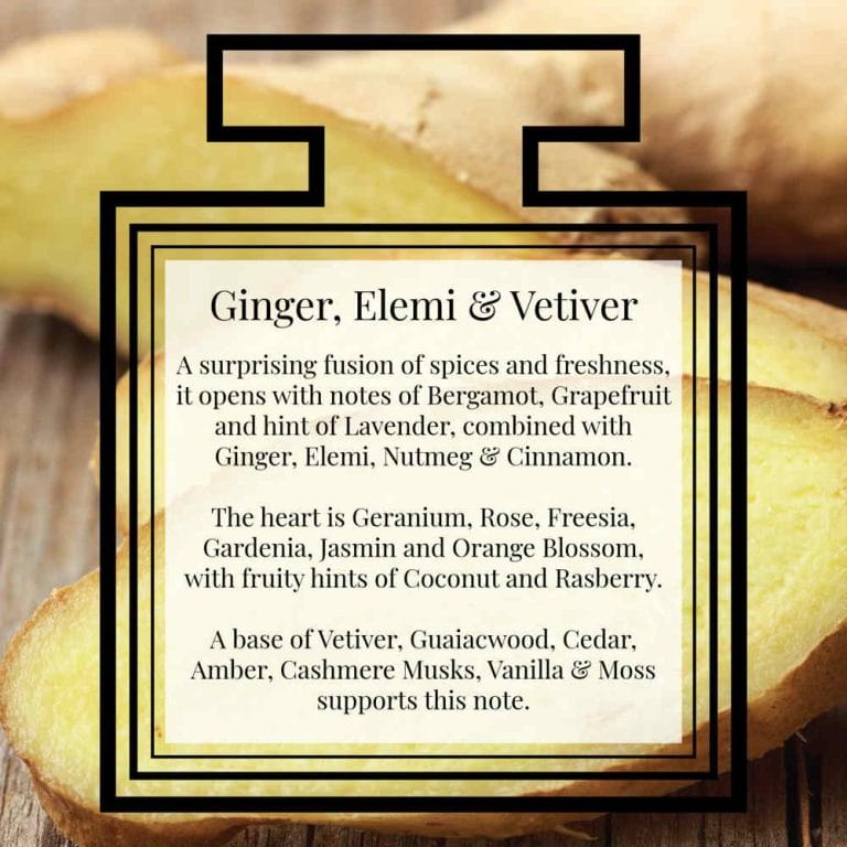 Pairfum Fragrance Ginger Elemi Vetiver Description Pairfum Fragrance Ginger Elemi Vetiver Description