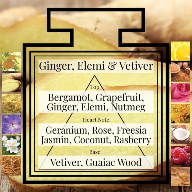 Pairfum Fragrance Ginger Elemi Vetiver Triangle Ingredients Pairfum Fragrance Ginger Elemi Vetiver Triangle Ingredients