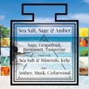 Pairfum Fragrance Sea Salt Sage Amber Triangle Ingredients