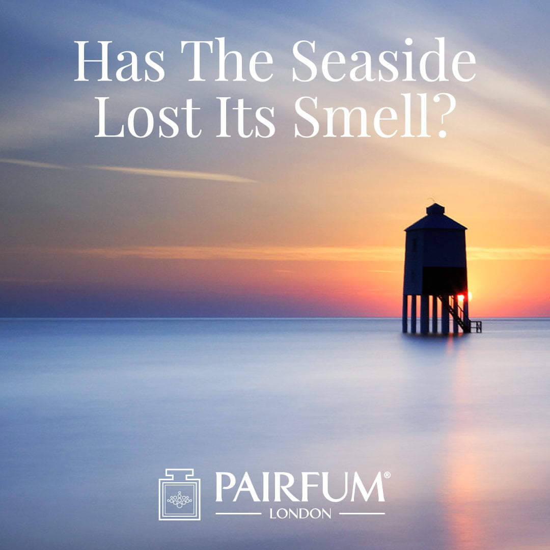 Seaside Smell Fragrance Sex On The Beach Sunset