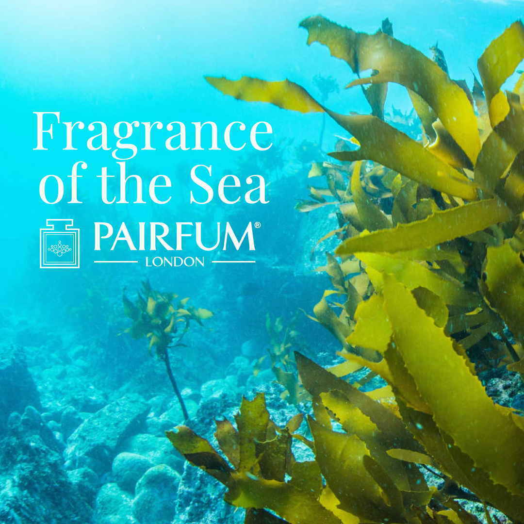 Water Scent Sex On The Beach Seaweed Algae