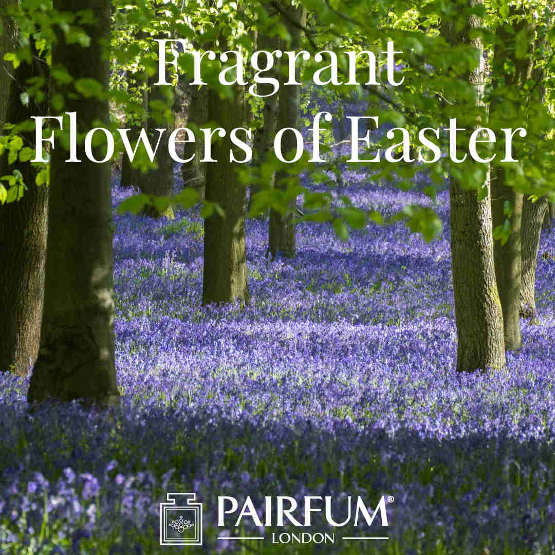 Pairfum London Fragrance Flowers Of Easter Bluebell Woodland