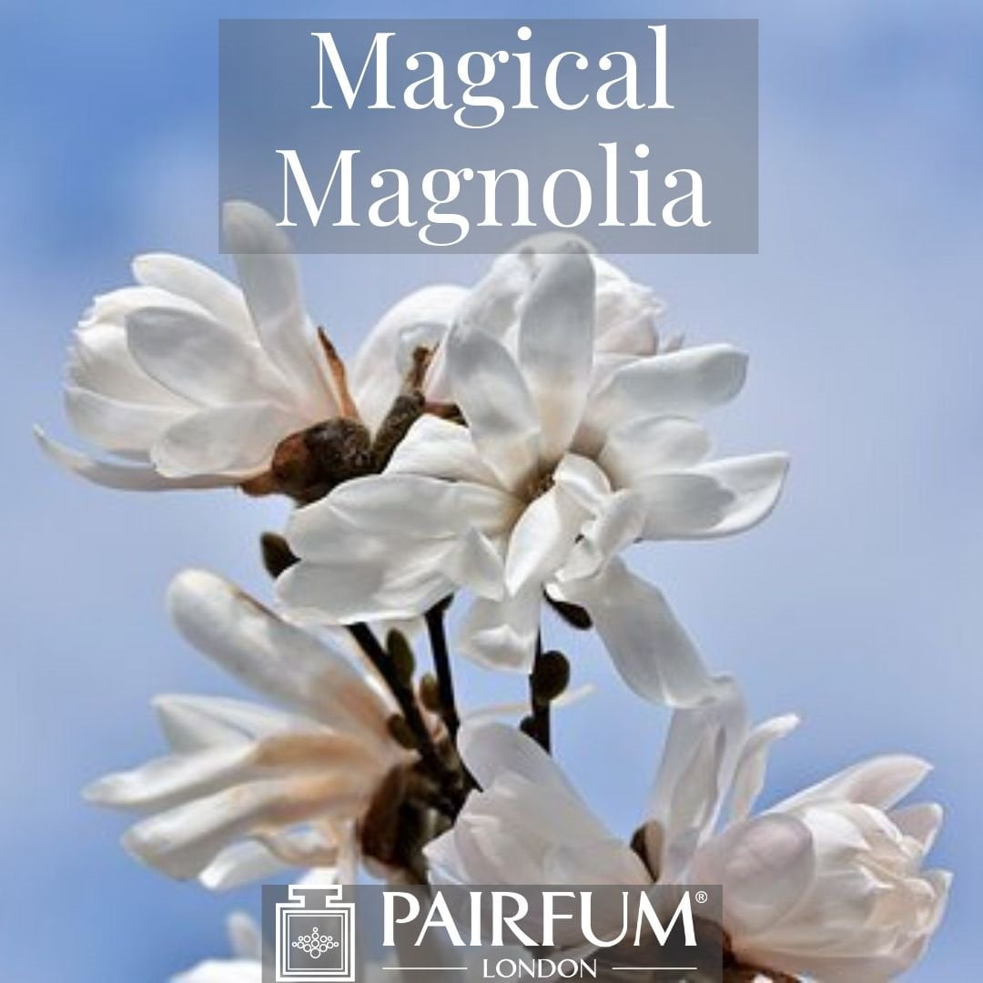 INSTAGRAM MAGICAL MAGNOLIA