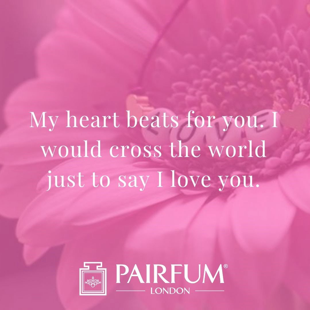  Pink Background White Flower