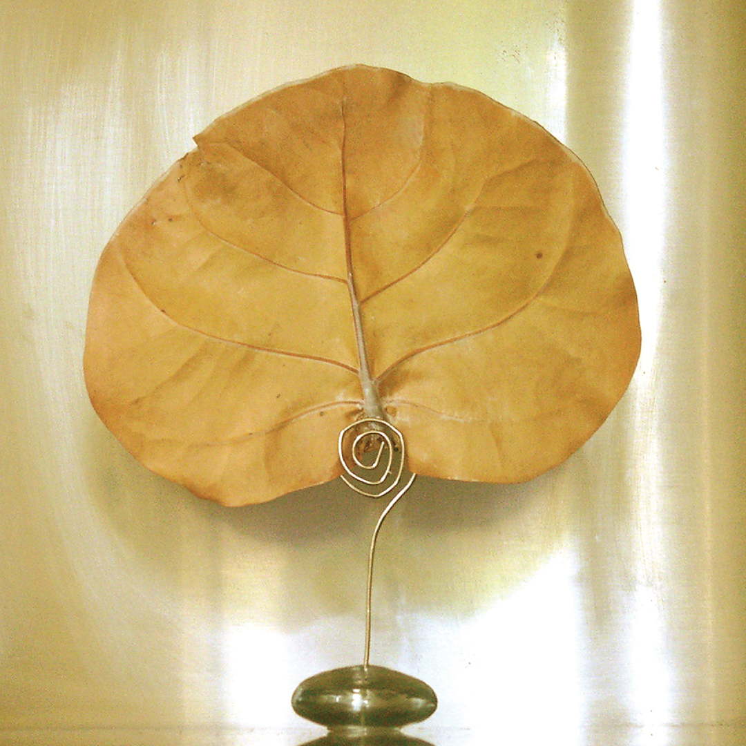Natural Canopy Infusion Diffuser Glass Orb Stand 1 1 Natural Canopy Infusion Diffuser Glass Orb Stand 1 1