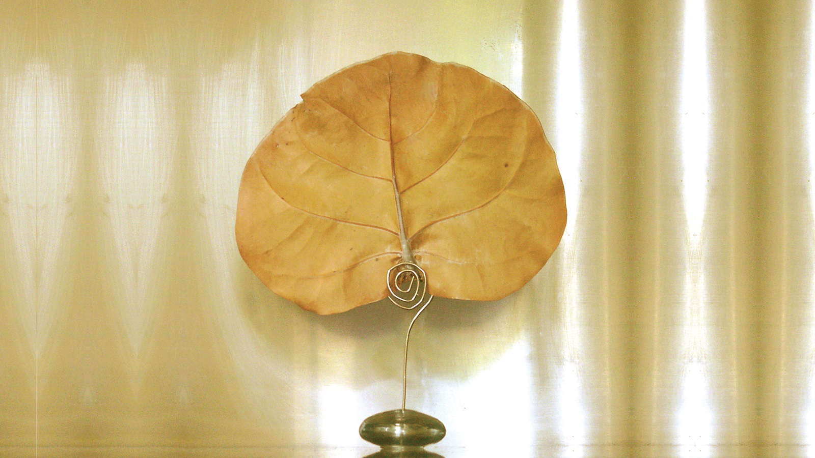 Natural Canopy Infusion Diffuser Glass Orb Stand 16 9