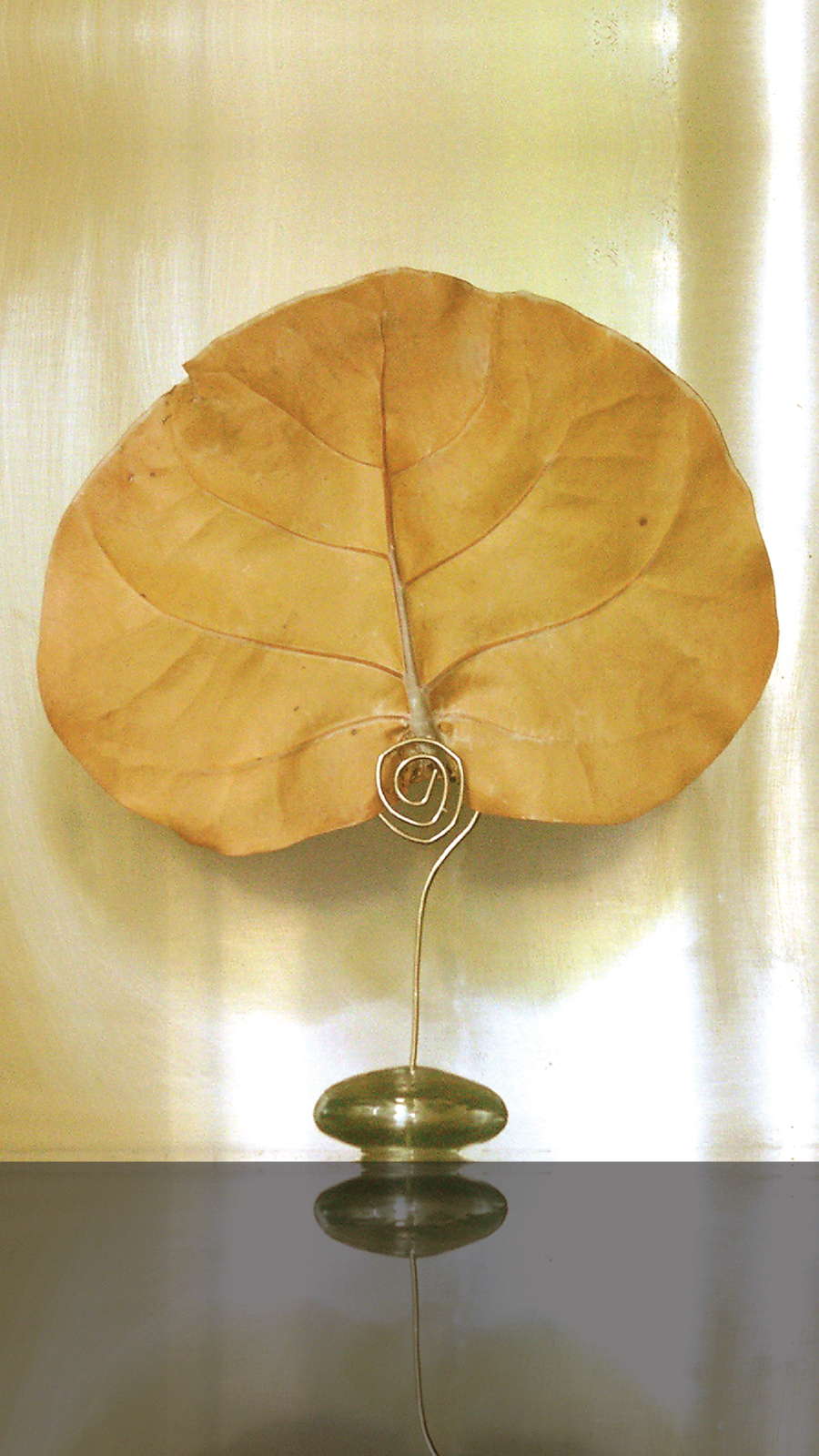 Natural Canopy Infusion Diffuser Glass Orb Stand 9 16 Natural Canopy Infusion Diffuser Glass Orb Stand 9 16