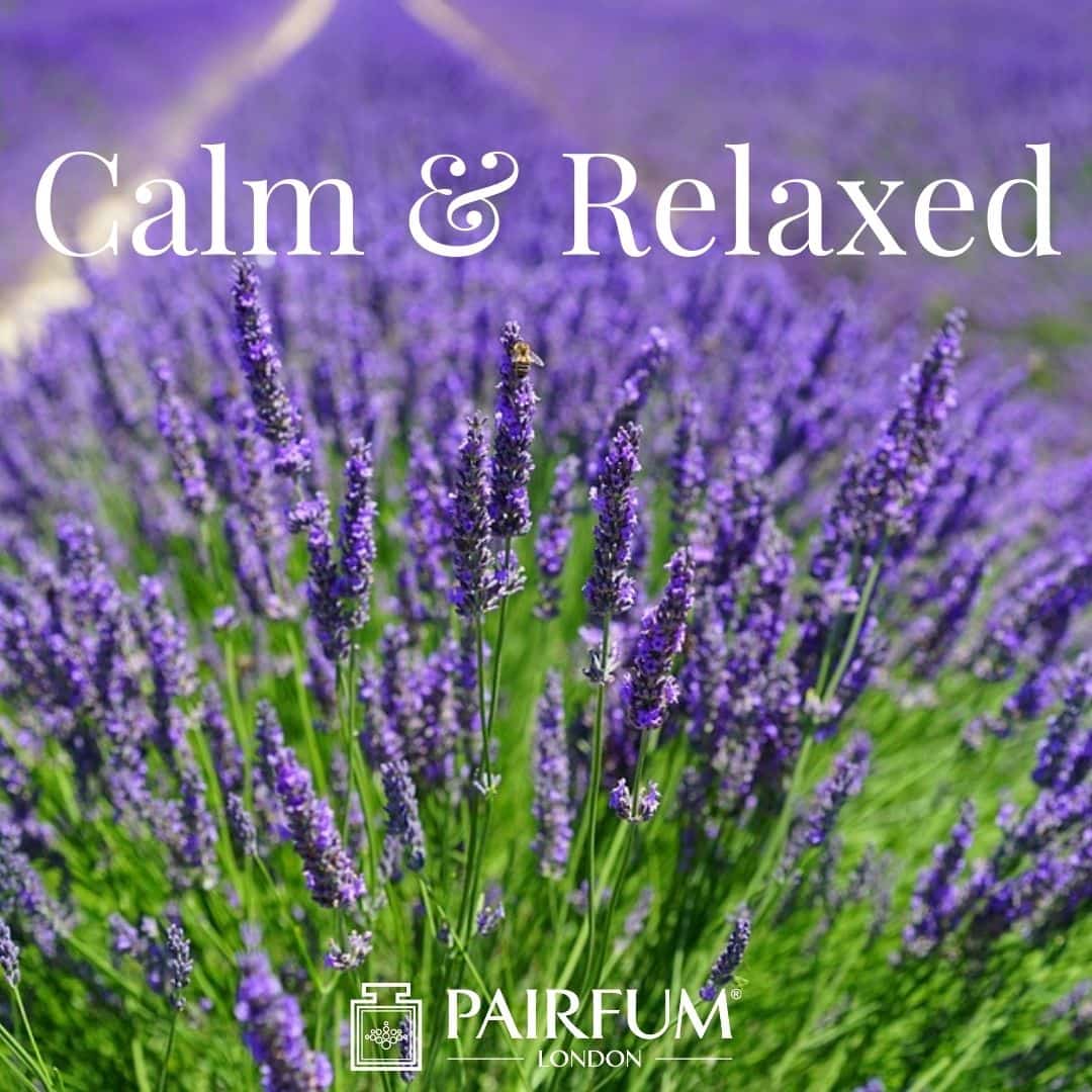 Calm & Relaxing Essential Oil Diffuser