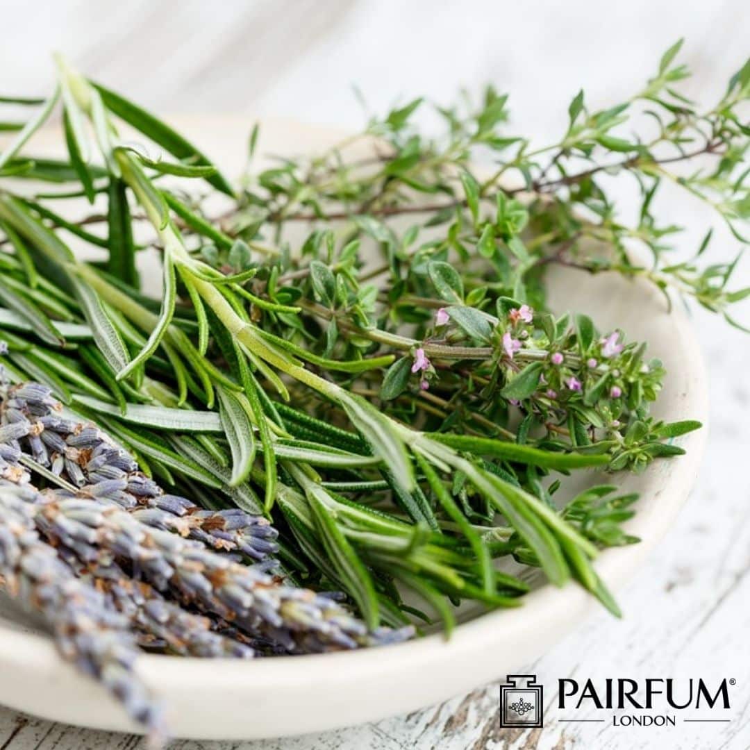 Fragrant Oil Diffuser