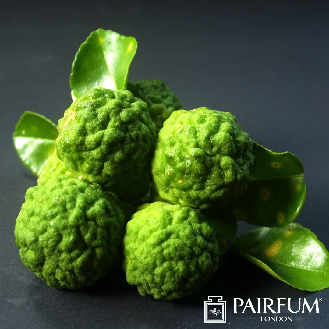 Healthy Oil Diffuser