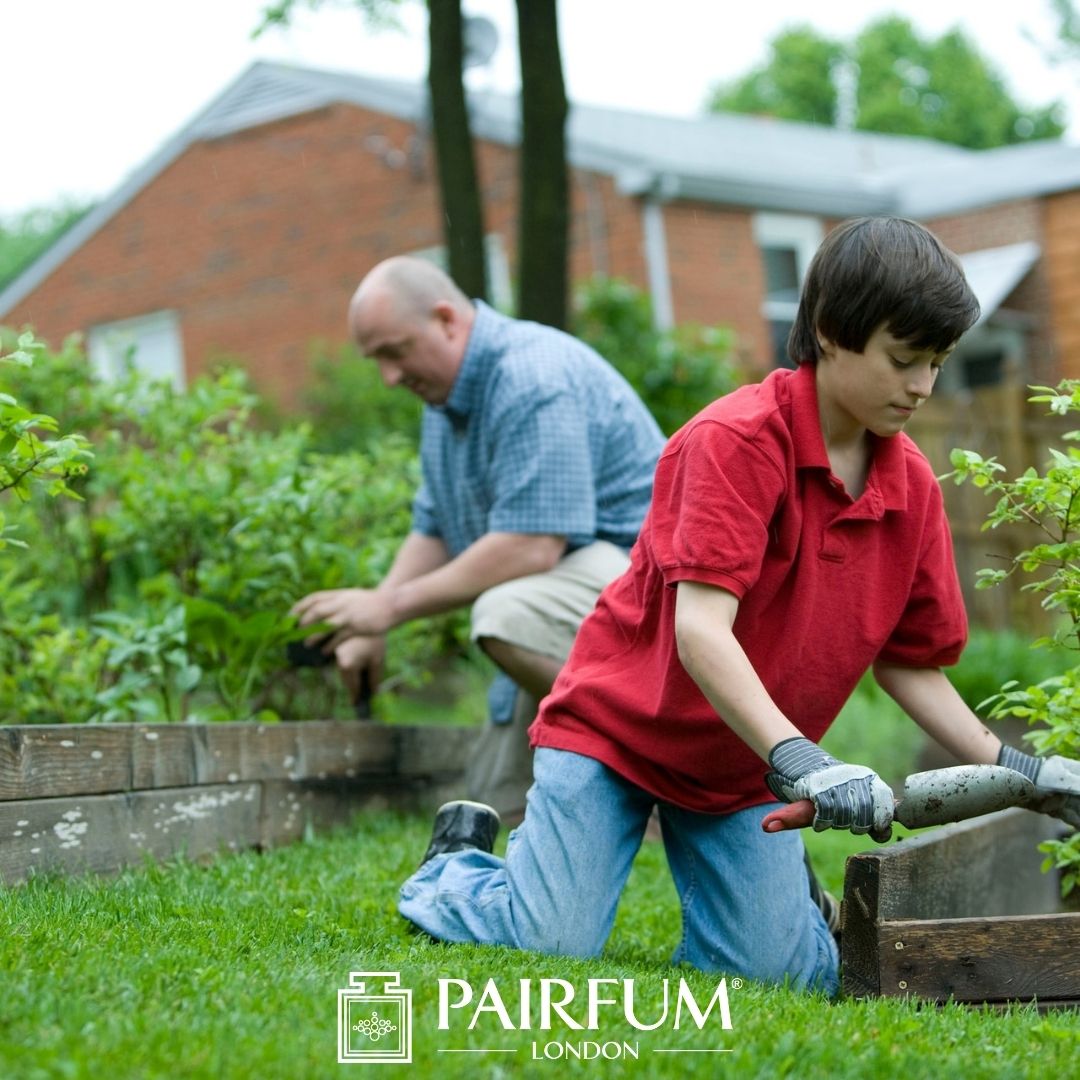 Sensehacking Through Gardening