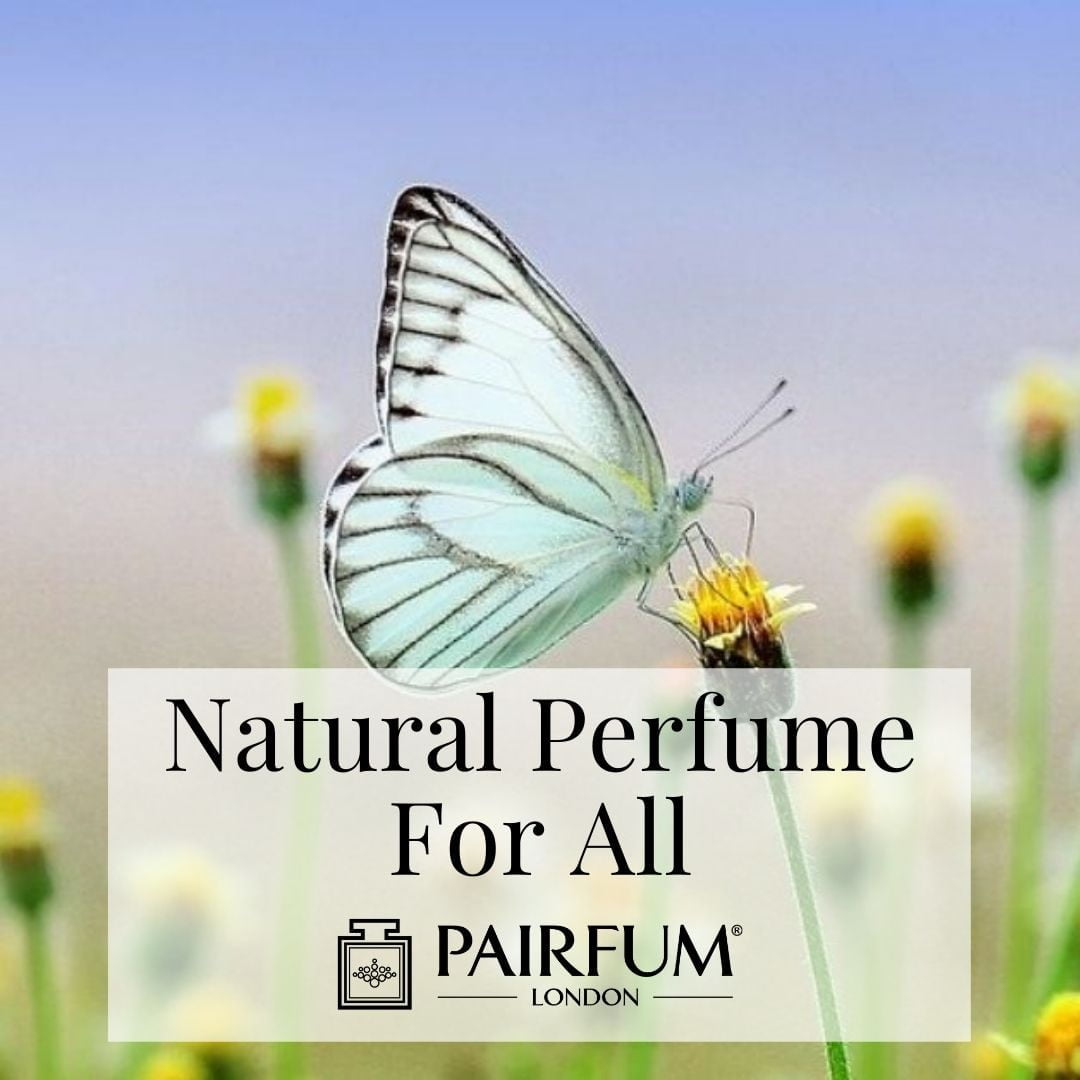 Natural Perfume For All