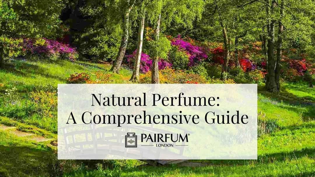 Natural Perfume A Comprehensive Guide